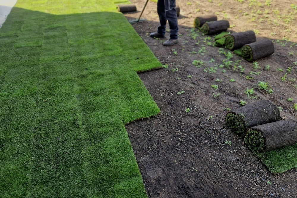 Fresh Sod Installation — Sod Installation project by Humpty Dumpty Can Do All